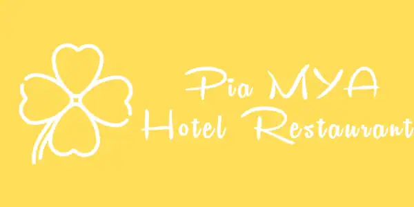 Pia Mya Hotel wide slide and tube water slide project for a hotel water park reference logo