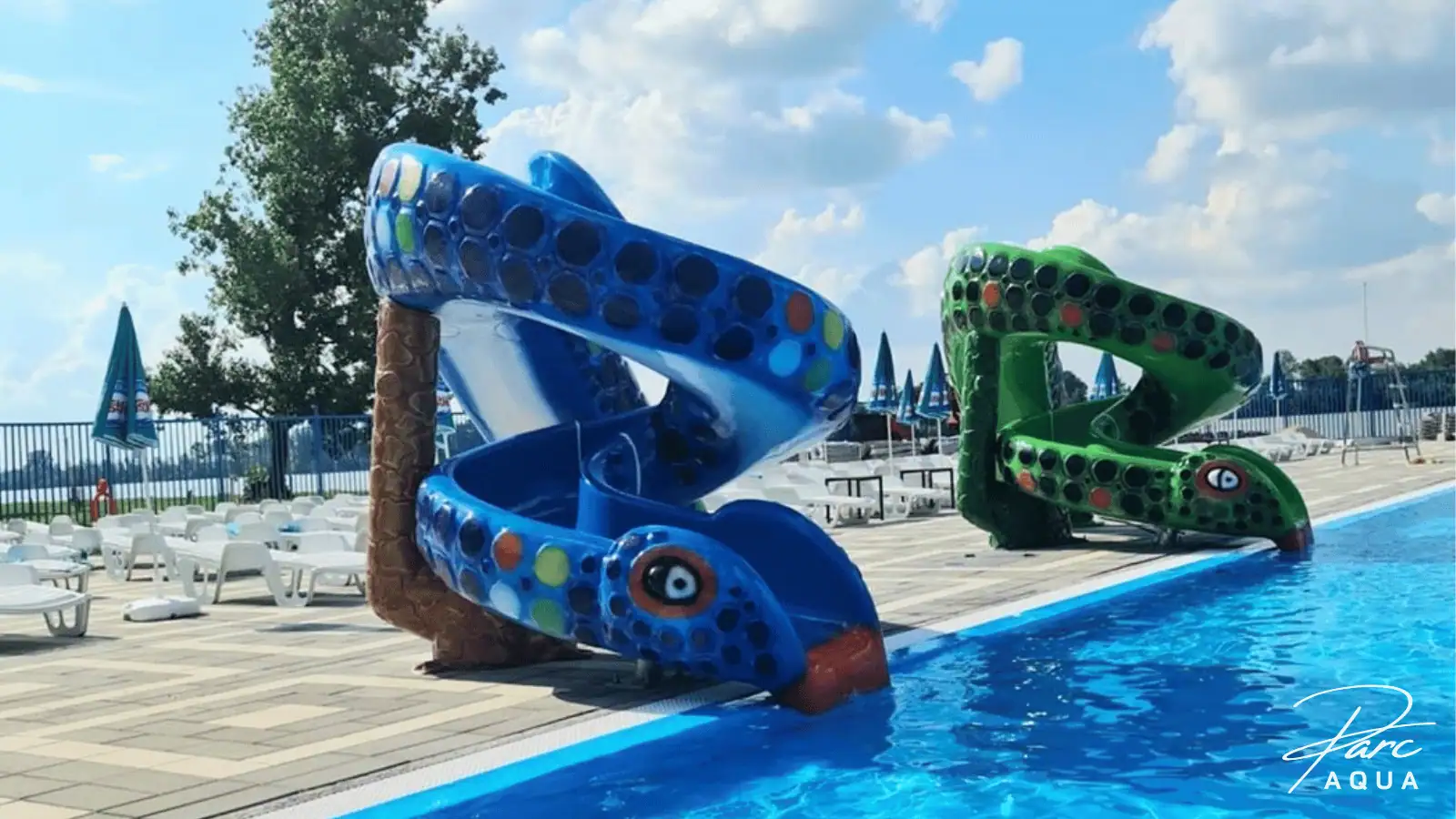 Snake kids water slide application image
